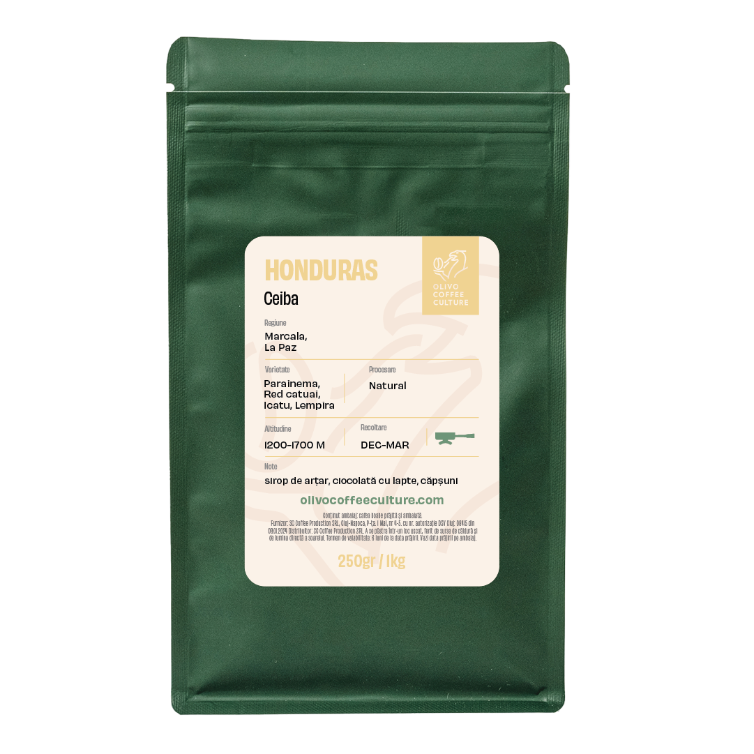 Honduras Ceiba – Olivo Coffee Culture
