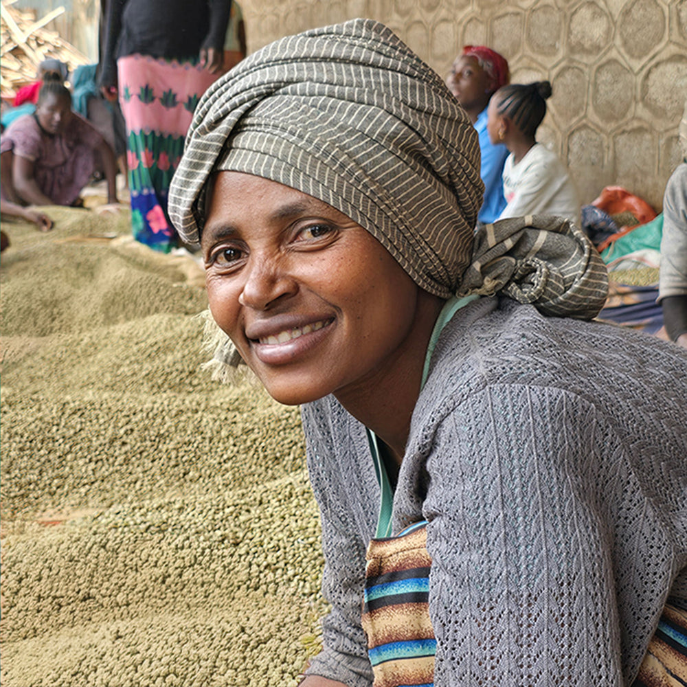 Ethiopia Shakisso - Cafeaua Alergătorului