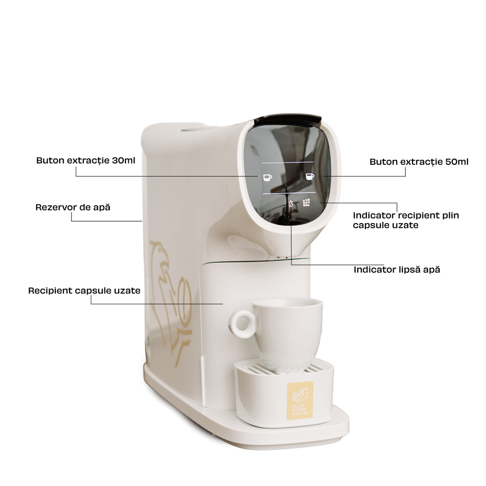 The Brew Office Deal