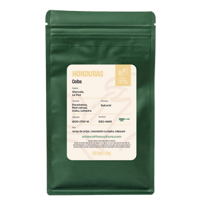 IMCA 50th Anniversary Since 1971 テディベア Honduras Ceiba – Olivo Coffee Culture
