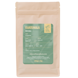 Guatemala Mintaka