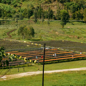 Rwanda Kirambo