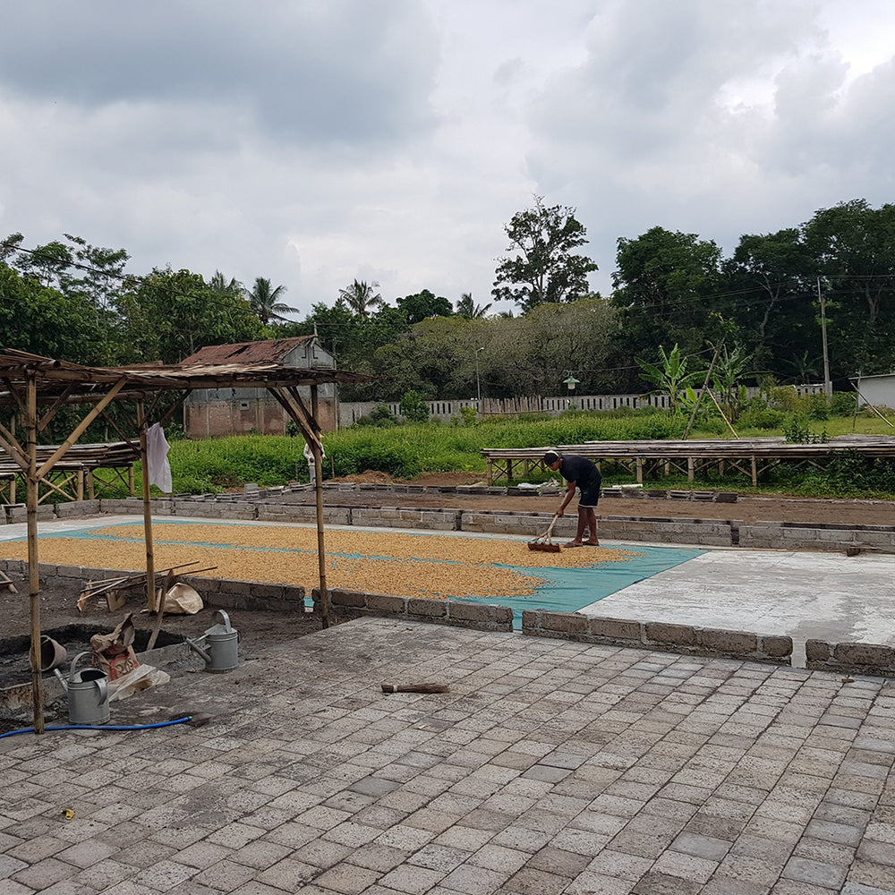 Indonesia Sukosari